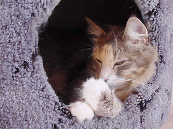 Fiola van Pondiki
� Photo: B. Goritzka