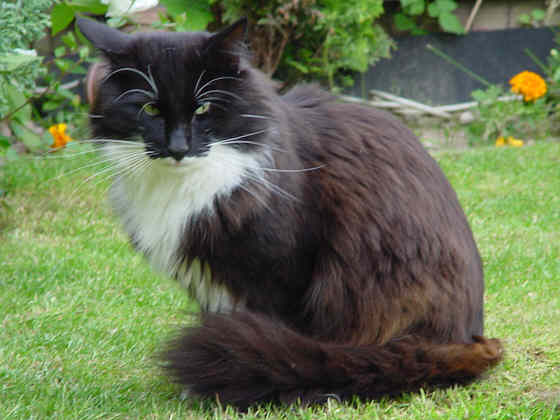 Albert Einstein
� Photo: B. Goritzka