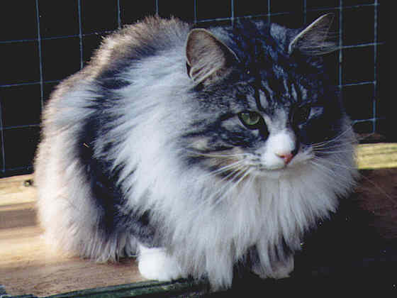 Jonas
� Photo: Pars-Versteeg