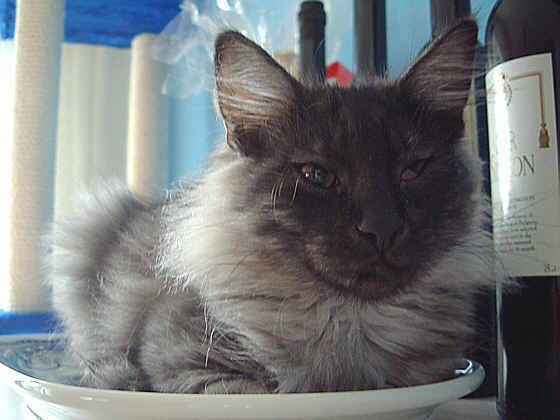 Marco
� Photo: Jung