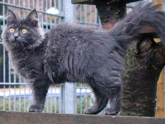 Melissa
� Photo: K. Baumann