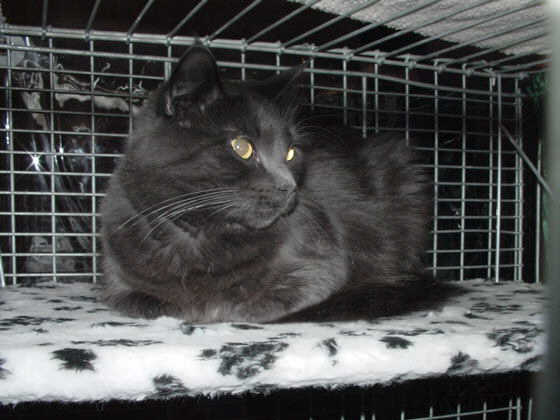 Melissa Show-Resultate 1
� Photo: B. Goritzka