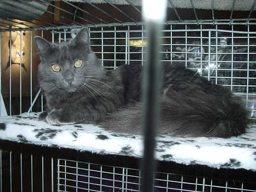 Melissa Show-Resultate 2
� Photo: B. Goritzka