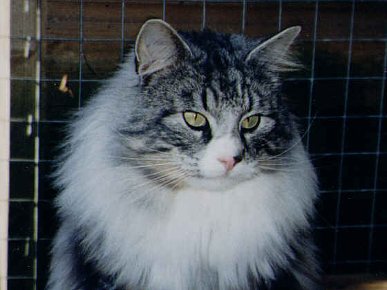 Jonas
� Photo: Pars-Versteeg