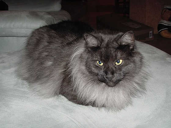 Natascha
� Photo: Zimmer