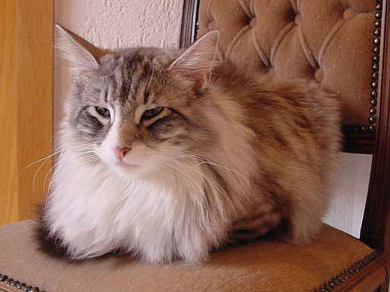 Fatehpur
� Photo: B. Goritzka