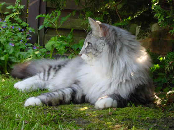 Fatehpur
� Photo: B. Goritzka