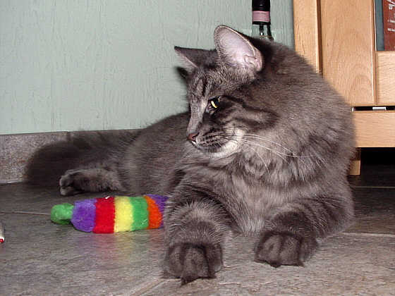 Pandora
� Photo: Goritzka