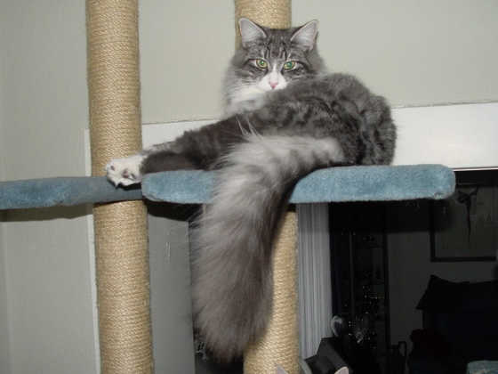 Pia
� Photo: Goritzka