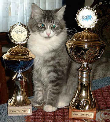 Pia-Piccolina Show-Resultate 1
� Photo: G. Krieger