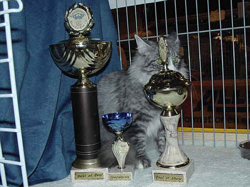 Pia-Piccolina Show-Resultate 2
� Photo: B. Goritzka