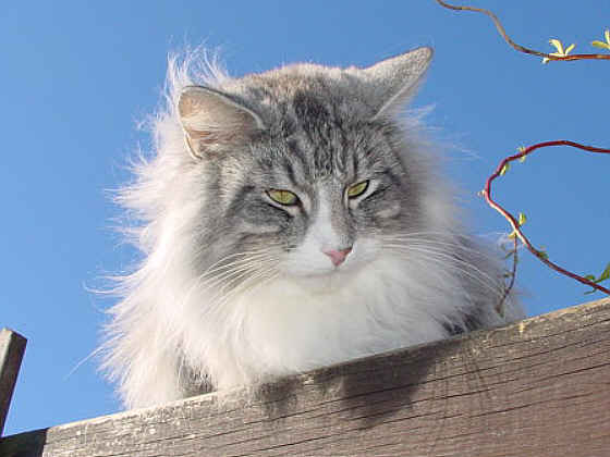 Fatehpur
� Photo: B. Goritzka