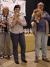 Quartan 1
� Photo: B. Goritzka