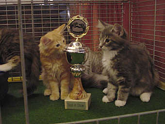 Quintus + Quartan
� Photo: B. Goritzka