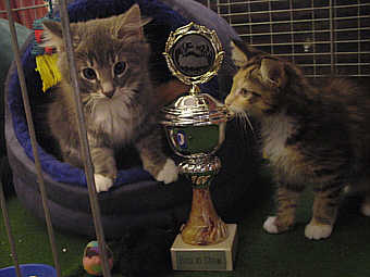 Quitus + Queeny
� Photo: B. Goritzka