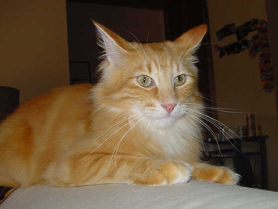 Qualico
� Photo: Goritzka