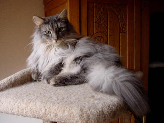 Quick-Step
� Photo: Goritzka