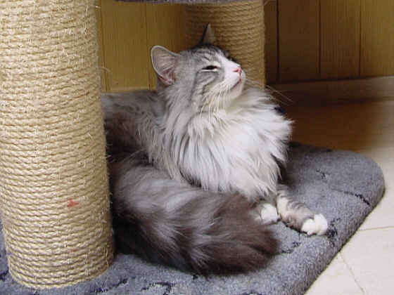 Fatehpur
� Photo: B. Goritzka