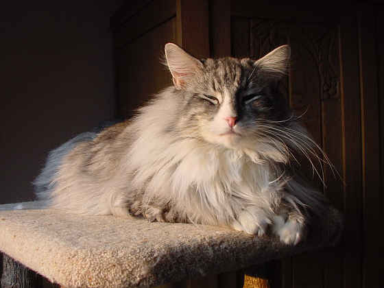 Fatehpur
� Photo: B. Goritzka