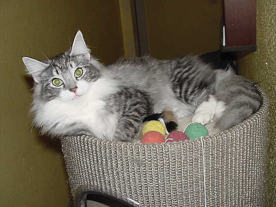 To�
� Photo: Goritzka