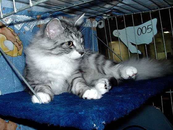 Toga
� Photo: Goritzka