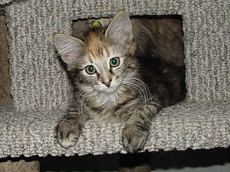 U-Wurf 1205
� Photo: B. Goritzka