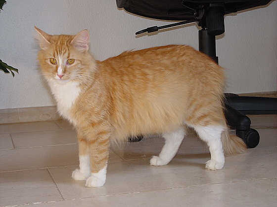 Bijou
� Photo: B. Goritzka