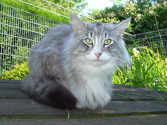 Fatehpur
� Photo: B. Goritzka