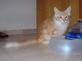 V-Wurf1606
� Photo: B. Goritzka