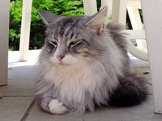 Fatehpur
� Photo: B. Goritzka