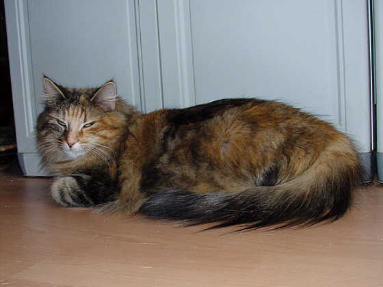 Karina
� Photo: B. Goritzka