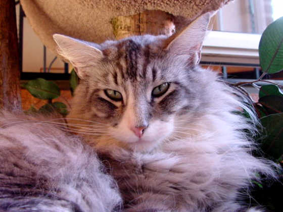 Fatehpur
� Photo: B. Goritzka