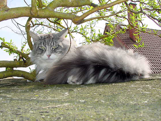 Fatehpur
� Photo: B. Goritzka