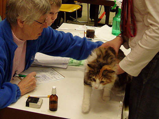 Xanthe Show-Resultate 1
 Photo: B. Goritzka