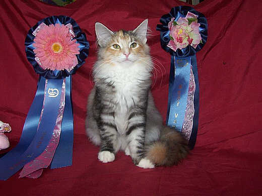 Xenia Show-Resultate 1
� Photo: B. Goritzka