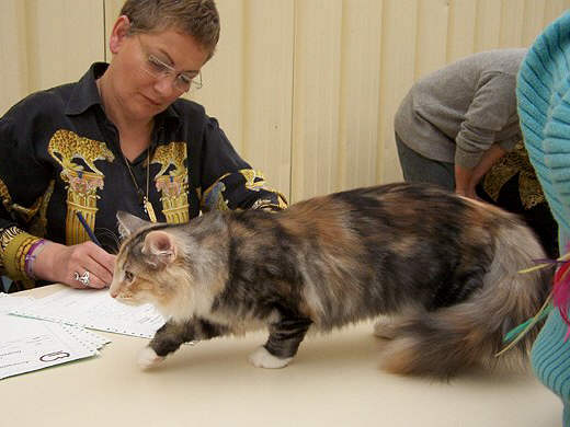 Xenia Show-Resultate 4
� Photo: B. Goritzka