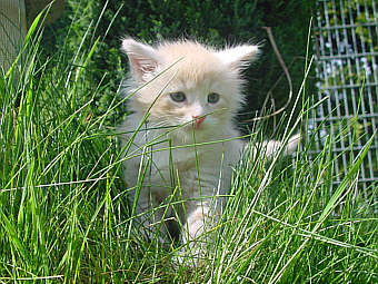 Y-Wurf 0507
� Photo: B. Goritzka