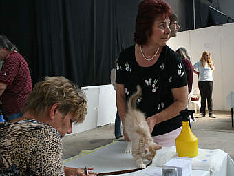 Y-Wurf 1204
� Photo: B. Goritzka